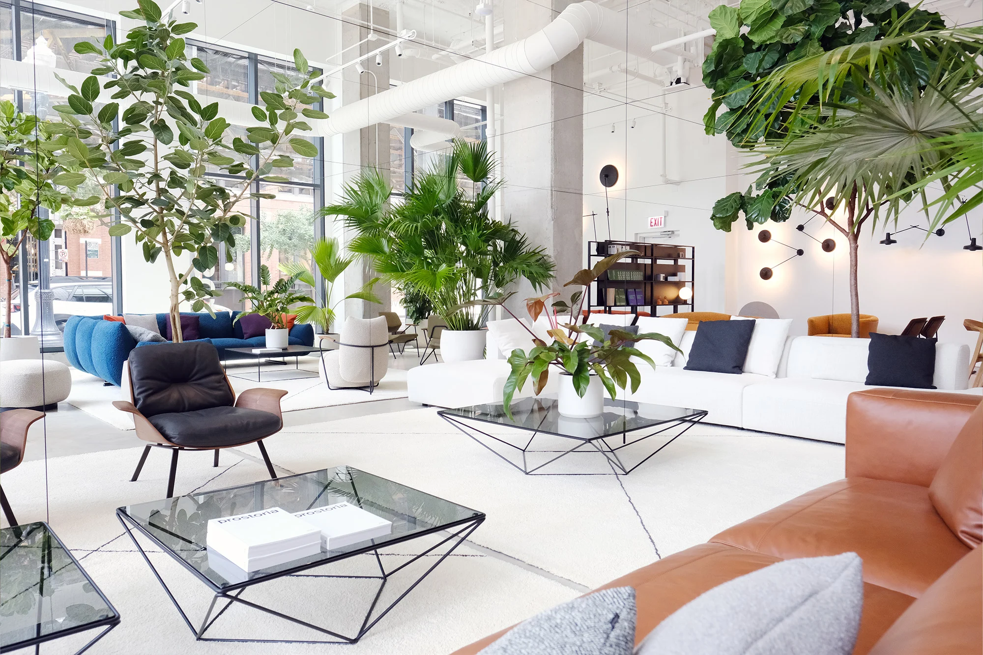 rjghw282ziwgtr3xzvcc_jpg