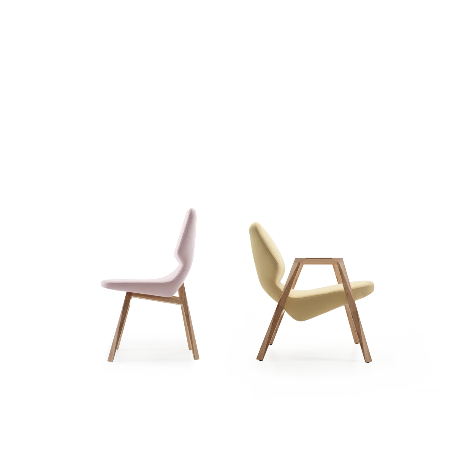 00 teaser image Oblique collection_png