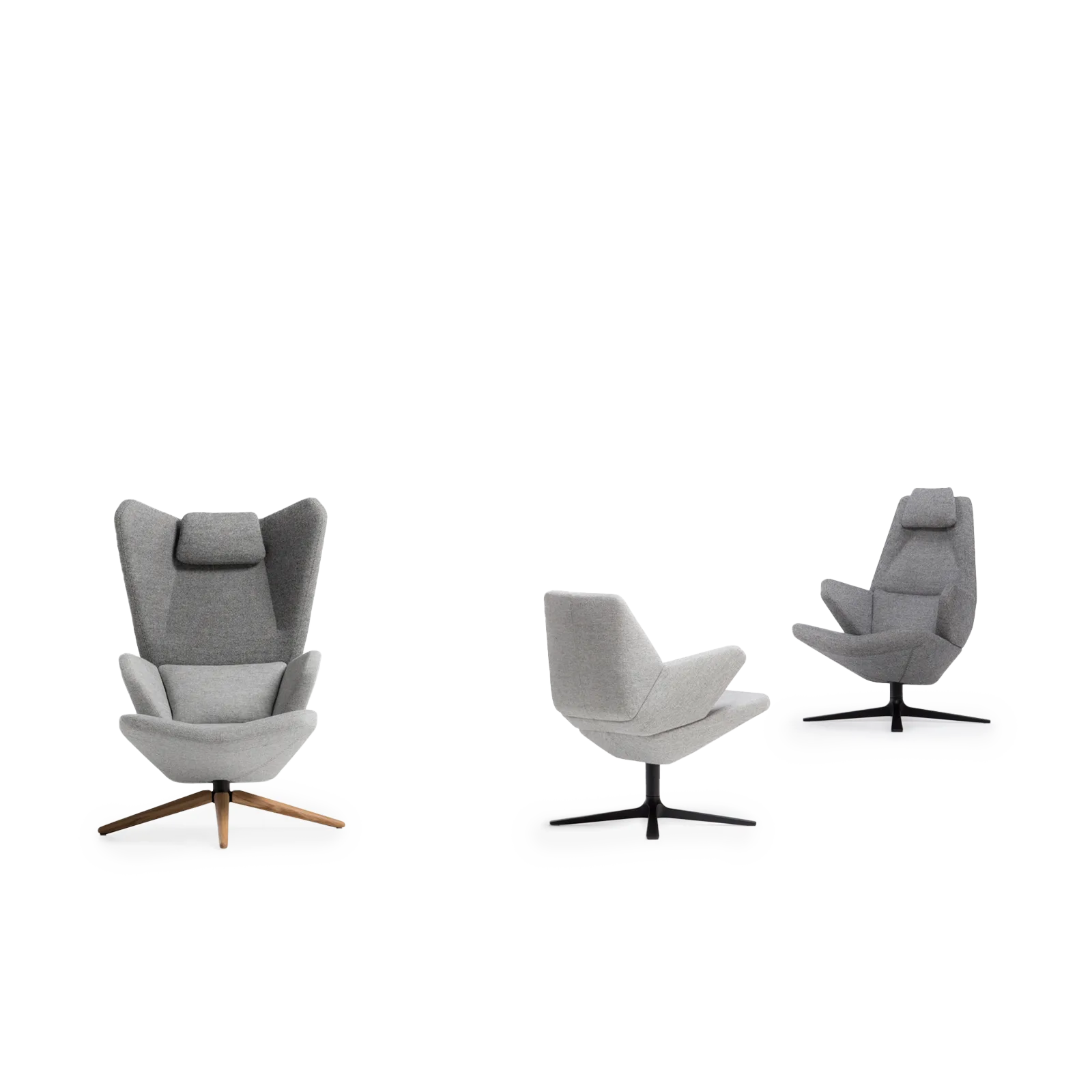 00 teaser image Trifidae collection_png