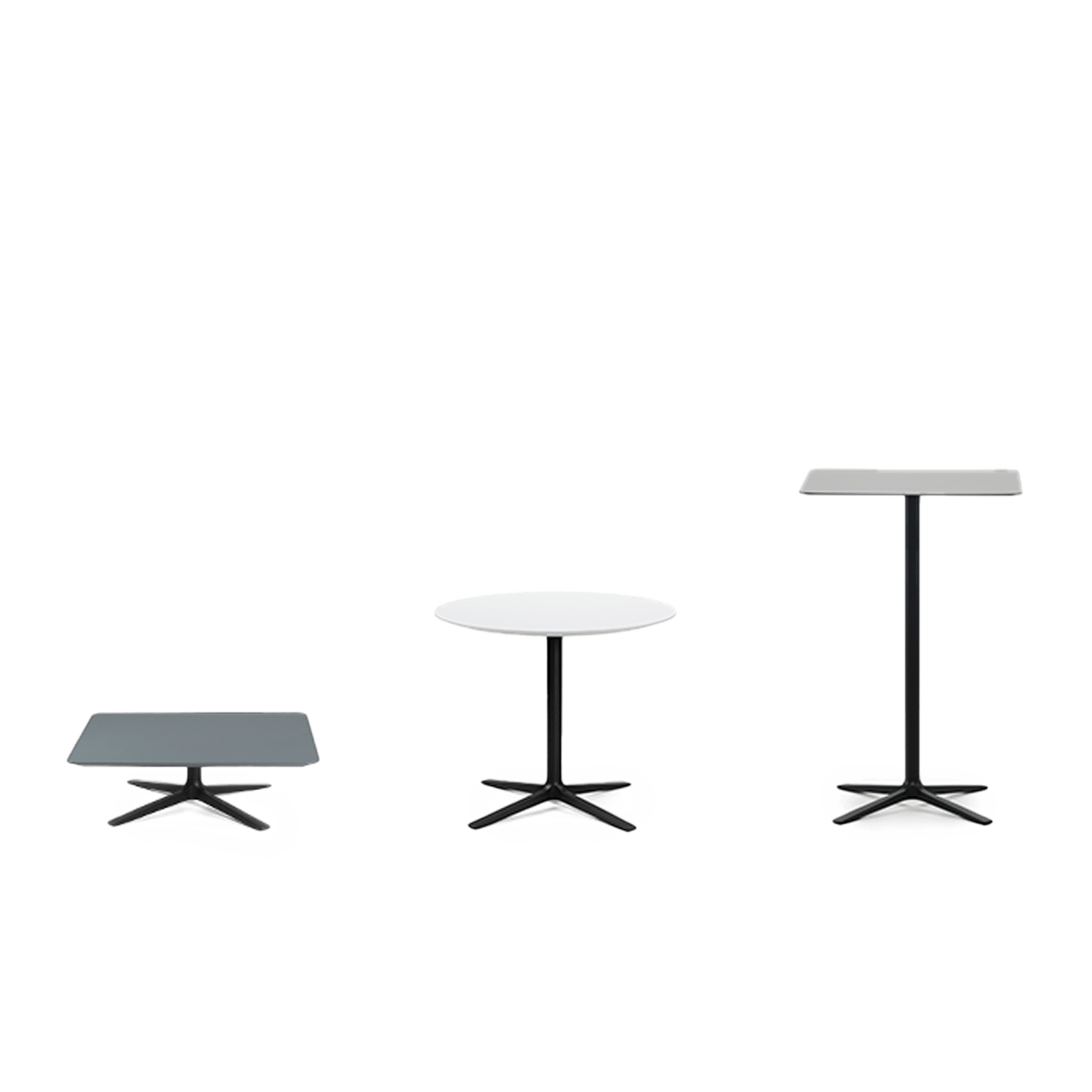 00 teaser image Trifidae outdoor collection_png