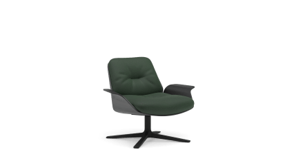 easy chair with armrests and low backrest, swivel base	