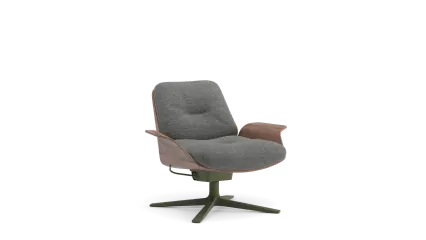 easy chair with armrests and low backrest, swivel base+reclining mechanism		