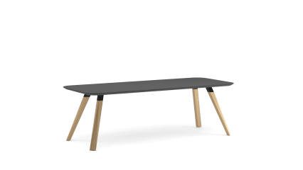 Dining table 230x96 fenix